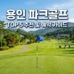 용인시 파크골프장 추천 TOP 5! 예약 방법부터 실제 후기까지
