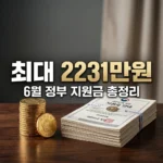 6월 정부 지원금 최대 2231만원 신청 방법 총정리 (교통비 환급·월세지원)
