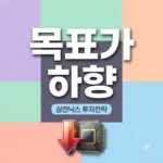 삼전닉스 목표가 33% 하향 진짜 이유와 투자금 회수 전략