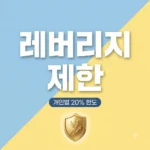 레버리지 투자 20% 제한 시행, 단일종목 ETF 한도 및 대응 전략