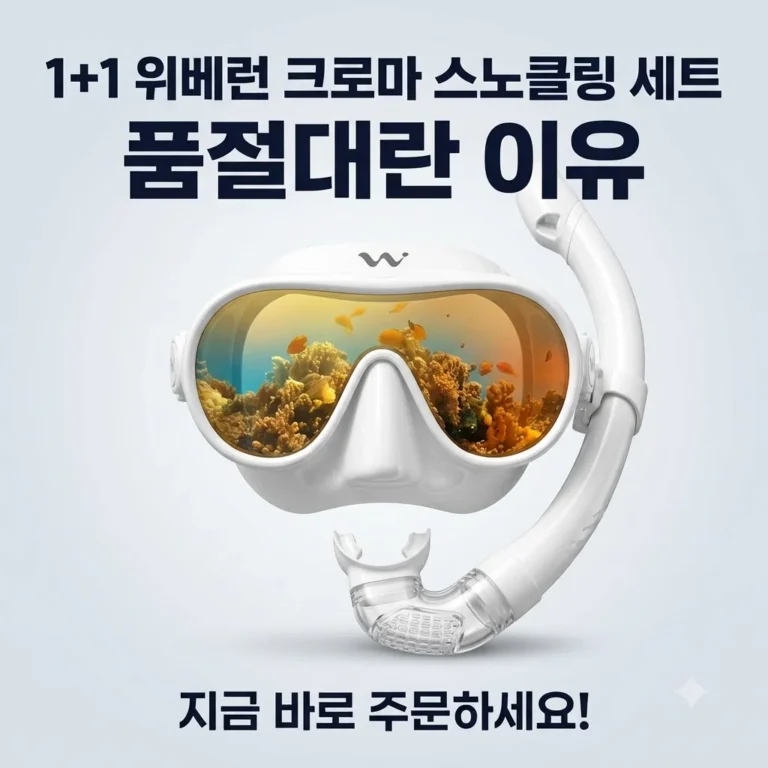 1+1 위베런 크로마 스노클링 세트 품절대란 이유