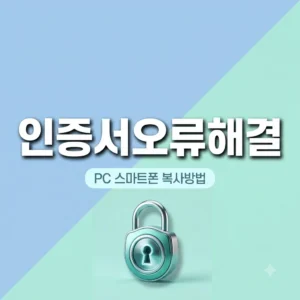 인증서 내보내기 오류 해결 PC 스마트폰 복사 원인 완벽 정리