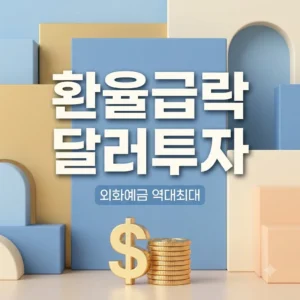환율 급락 속 외화예금 역대 최대 기록! 달러 투자 및 금리 비교