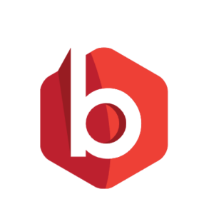 BizInsight Partner
